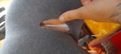 20231127_084017.jpg