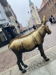 IMG_7516.jpeg