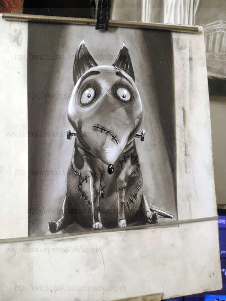 "Frankenweenie" - troszku_proszku
