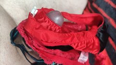 IMG_20231209_091337.jpg