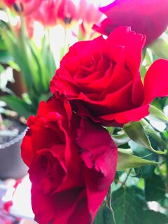 IMG_20230819_035734_784.jpg