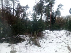 IMG_20231212_090517.jpg