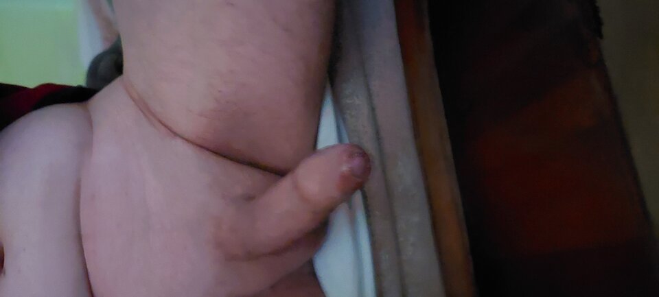 20231212_092306.jpg - Pawcio789