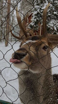 e9eaf2bbd6339973850e194f3caabebb.jpg