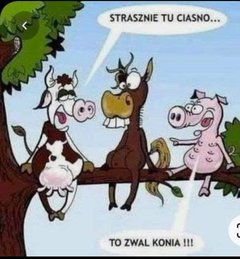 🤣