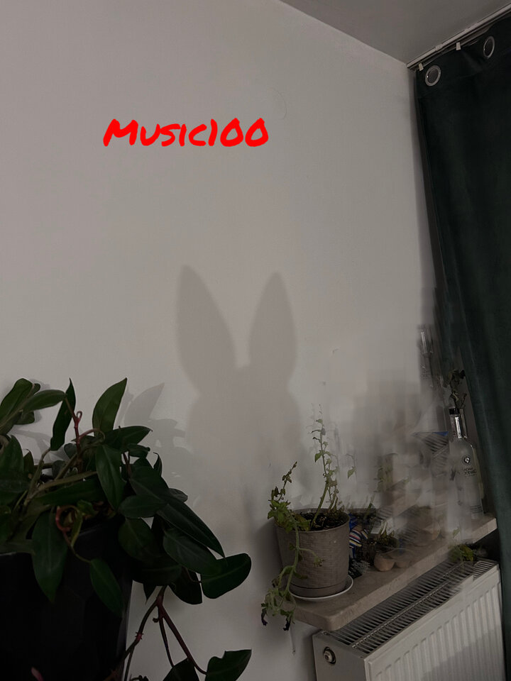 IMG_7292.jpeg - Music100