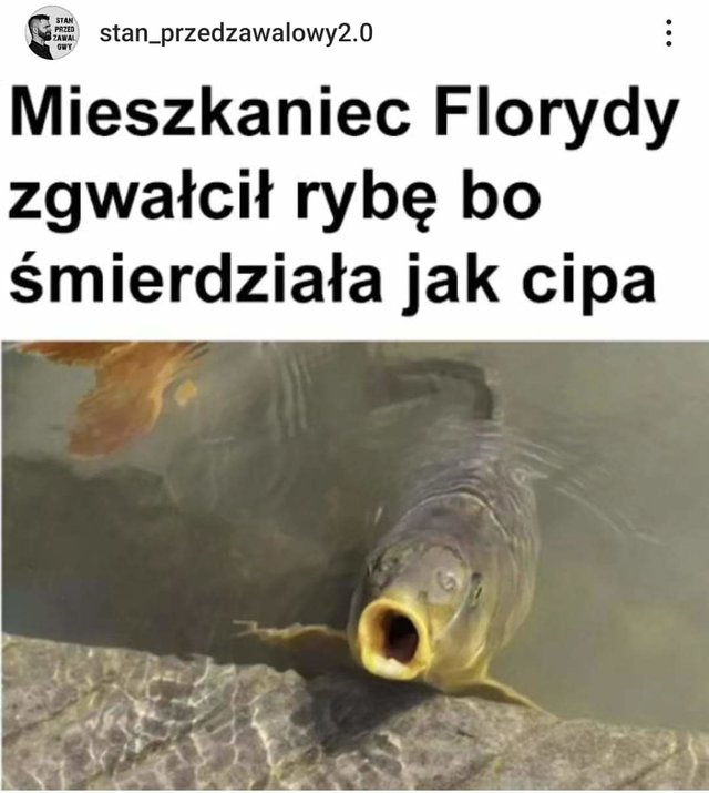 borutaxyz
