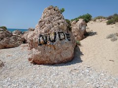 IMG_20230619_114812.jpg