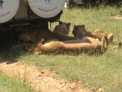 PIC_0081.JPG