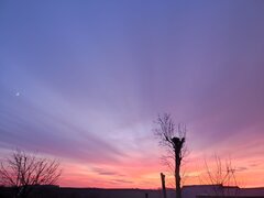 IMG_20231217_155715.jpg