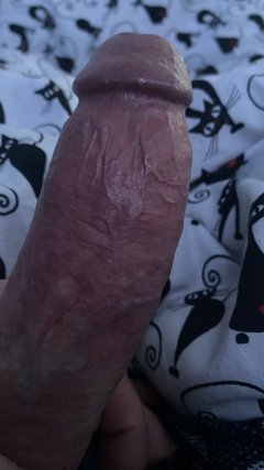 IMG_1292.jpeg