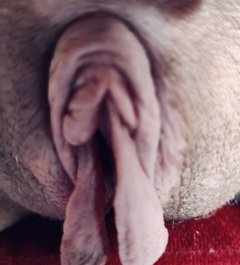 IMG_5148.jpeg