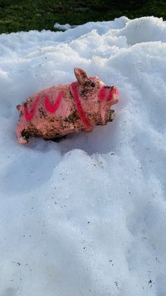IMG_7779.jpeg