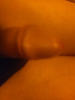IMG_20231218_103309.jpg