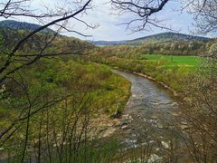 IMG_20220503_095646-01.jpeg
