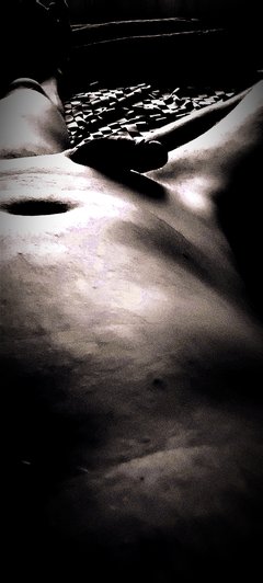 IMG_20231221_074743.jpg