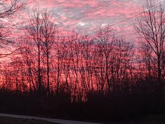 IMG_20231219_154608725.jpg