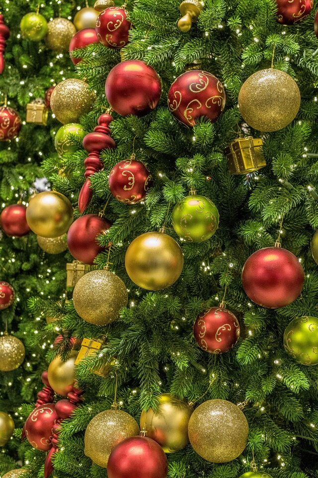 christmas-3023415_1280.jpg - jareckii