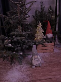 IMG_1705.jpeg