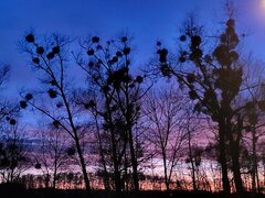 20231219_163006.jpg