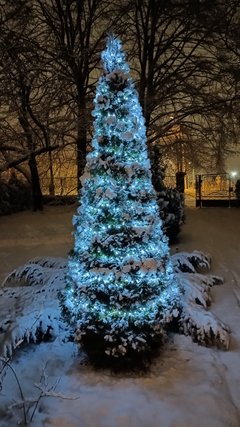 IMG_20231223_181757830_HDR.jpg