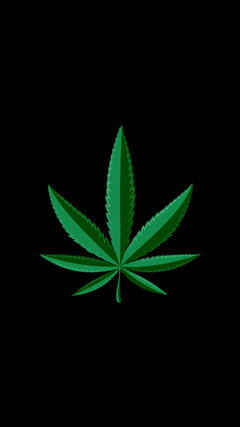 cannabis-leaf-pictures-1kysx5hv7tljidgf.jpg