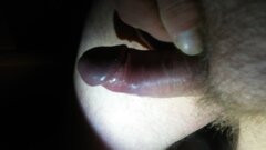 20231224_002235.jpg