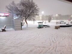 IMG_20231226_171803.jpg