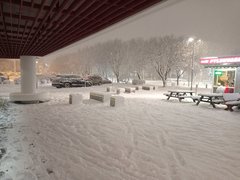 IMG_20231226_171752.jpg