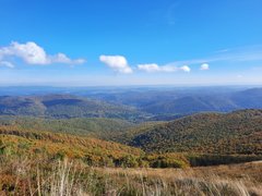 20211003_110459.jpg