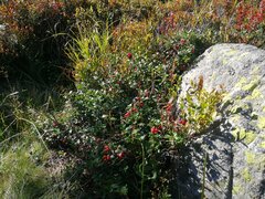 IMG_20230907_144716.jpg
