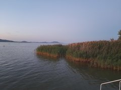 20220803_204520.jpg