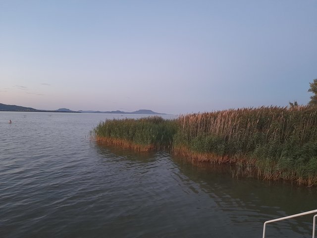 Efemeryczni_Oni