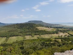 20220807_142313.jpg