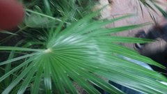 20161011_111012.jpg