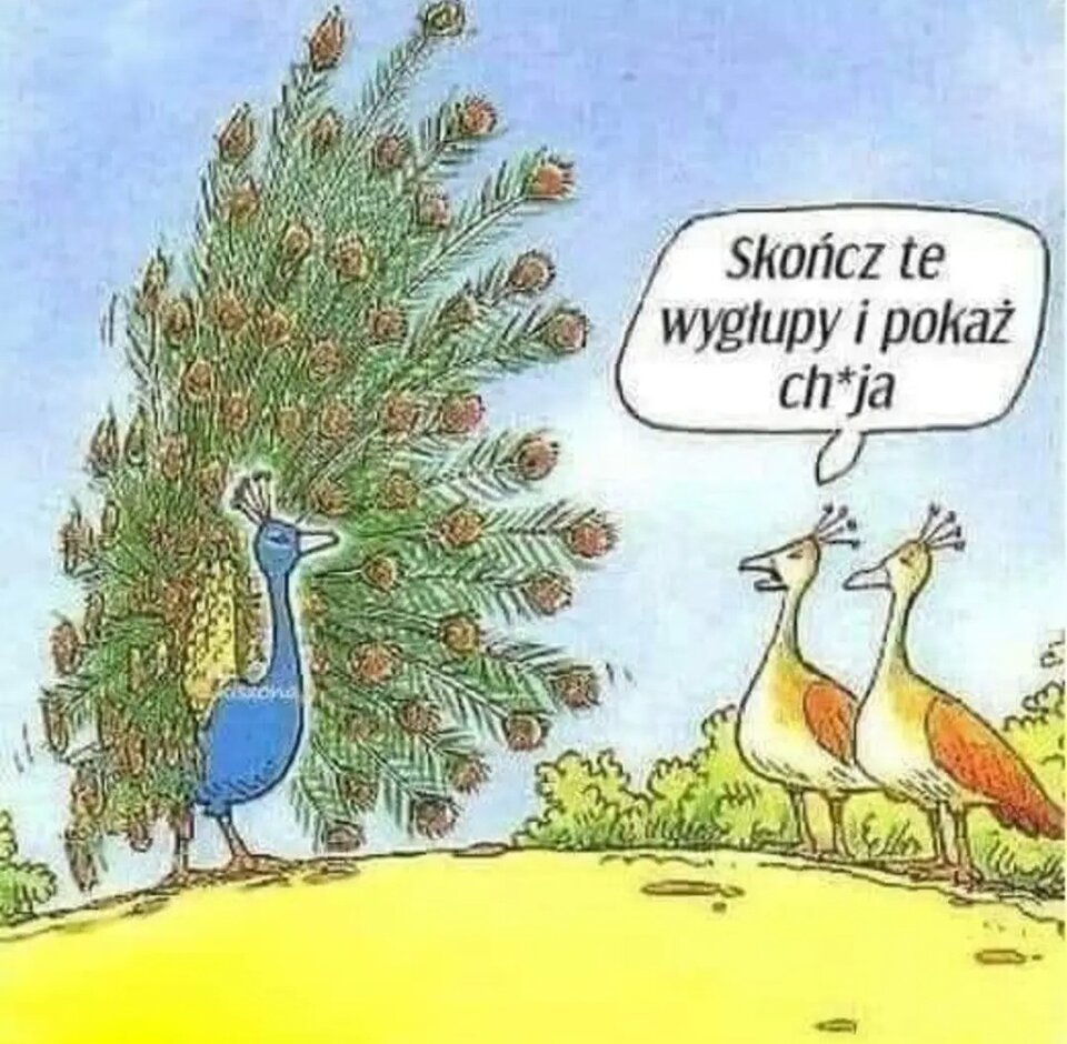 1000040669.jpg - tomasz1108