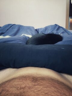 🐈‍⬛☕️