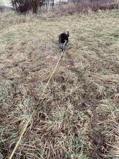 IMG_7882.jpeg