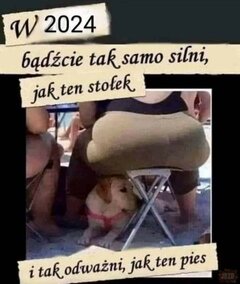 FB_IMG_1704035427646.jpg