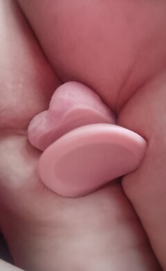 IMG_20231230_130407.jpg