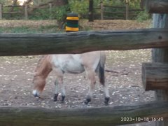 IMG_20231018_164920.jpg