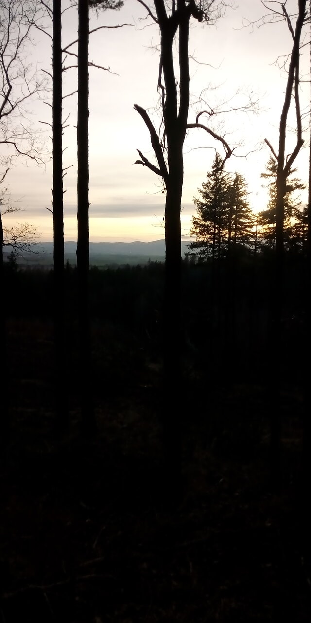 nutrix