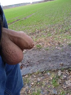 IMG_20240103_130333_1.jpg