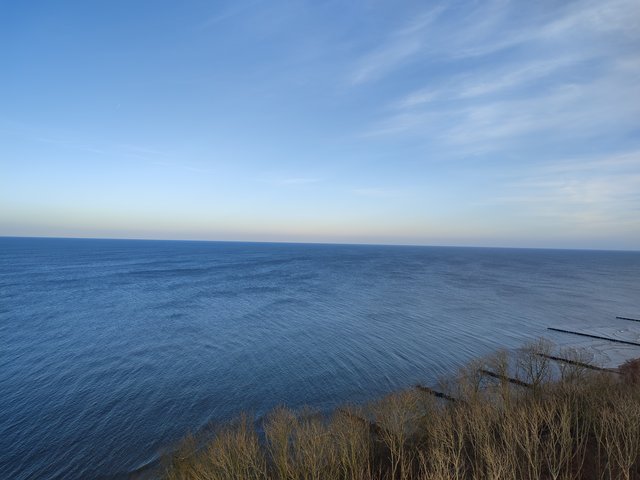 Niesmialadzikuska