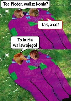 FB_IMG_1704731568303.jpg