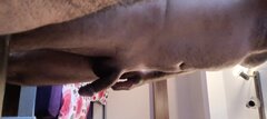 IMG_20240104_101845.jpg