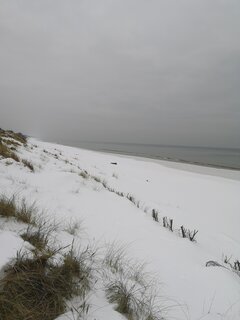 IMG_20231210_111811.jpg