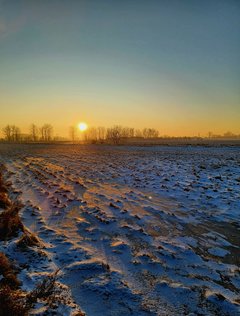 20240109_083250.jpg