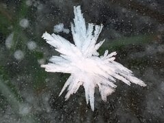 IMG20240110154017.jpg