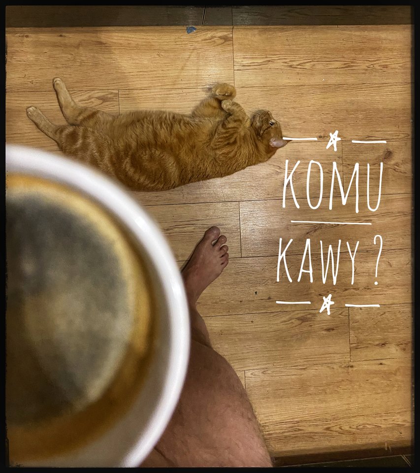 ☕️🐈‍⬛ - serialowapara19782